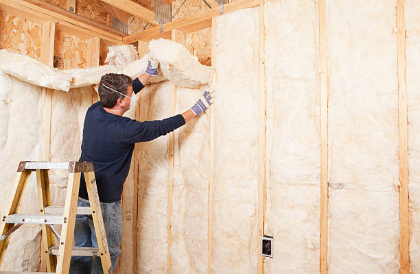 Professional Insulation Removal & Installation in Newton Falls, OH